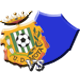 Fichas de los partidos de otras competiciones